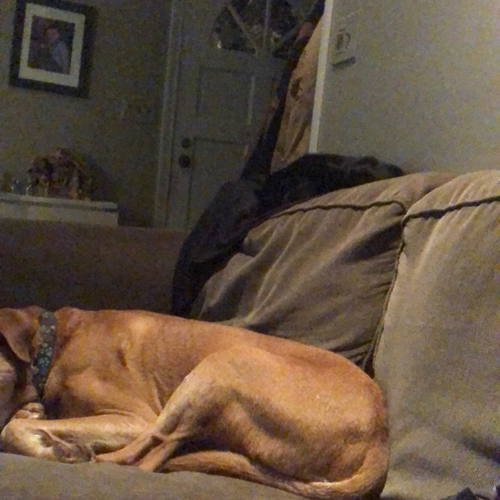 Meet your Posher, Daniel